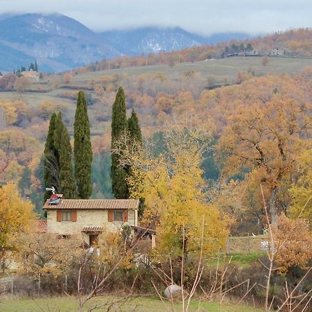 Agriturismo Mandrioli Pratovecchio Luaran gambar