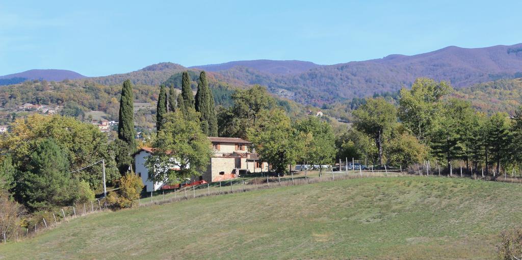 Agriturismo Mandrioli Pratovecchio Luaran gambar