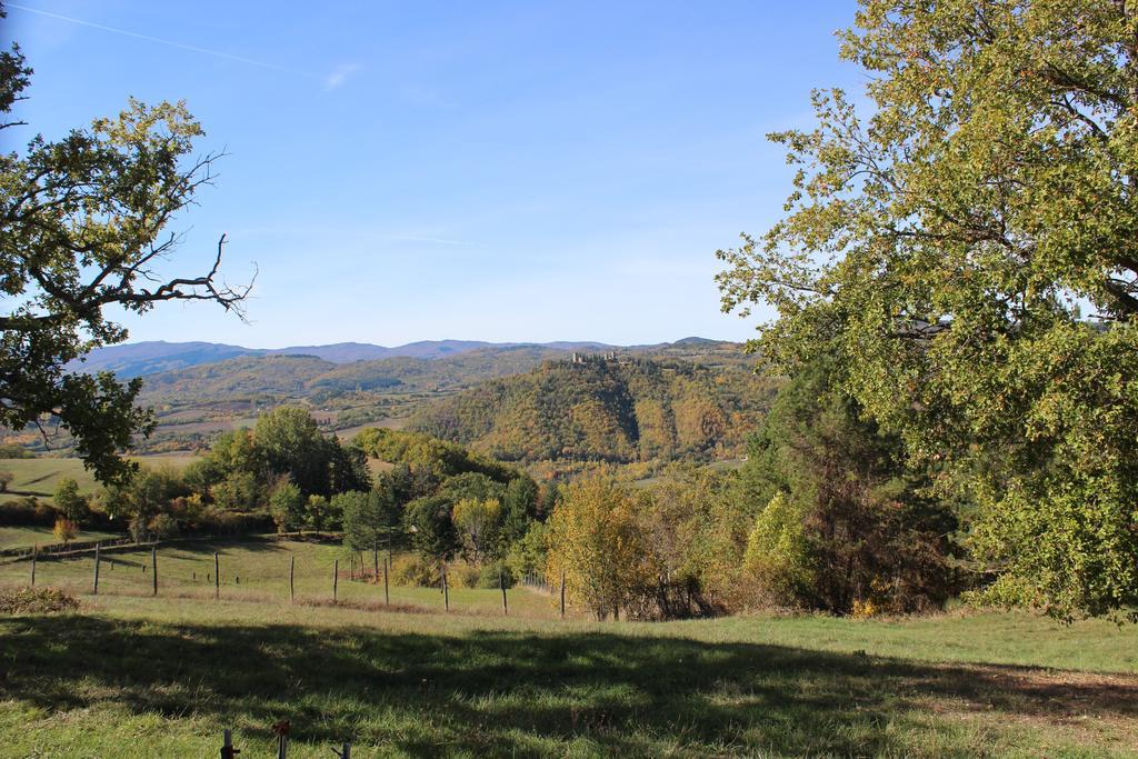 Agriturismo Mandrioli Pratovecchio Luaran gambar