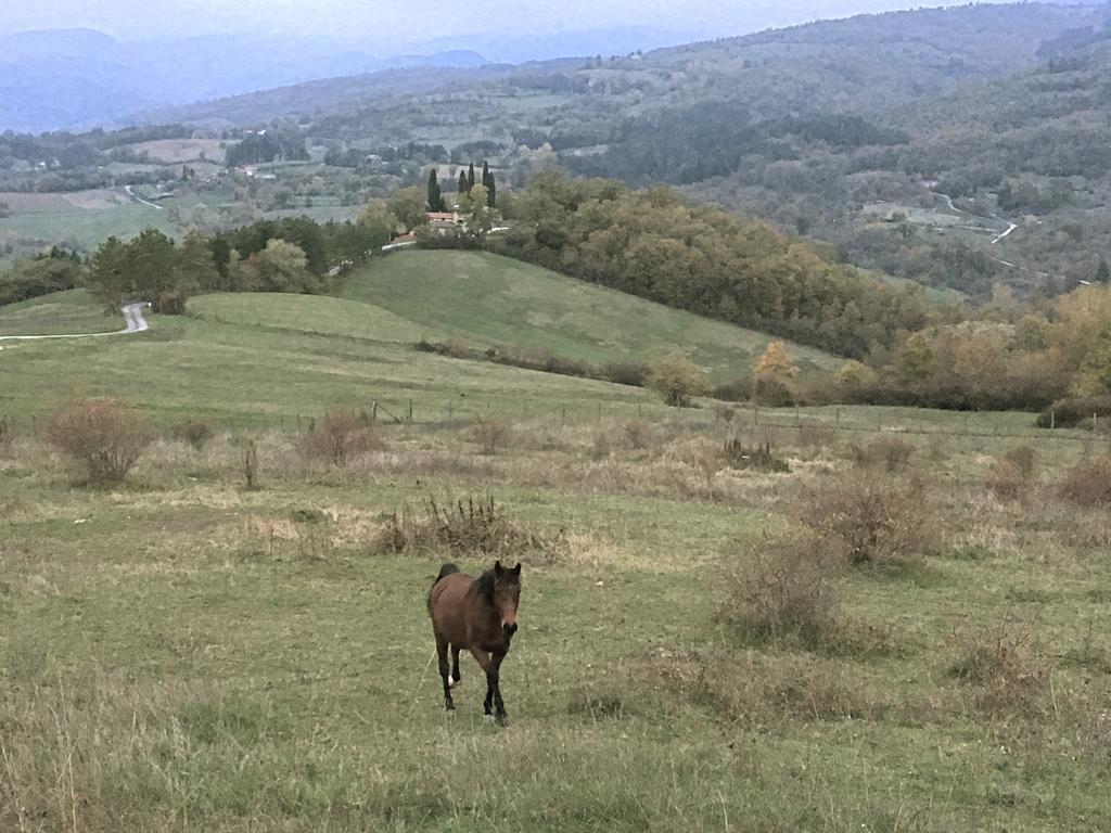 Agriturismo Mandrioli Pratovecchio Luaran gambar