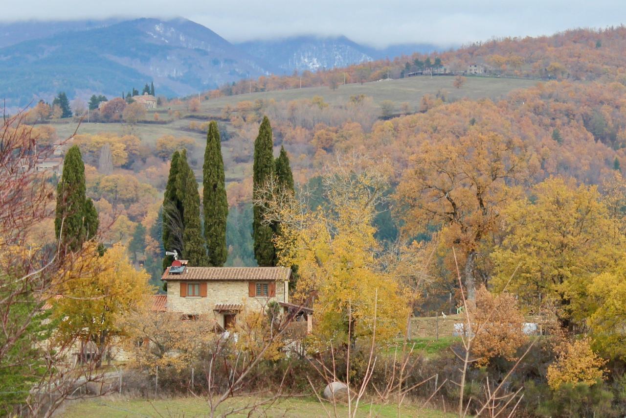Agriturismo Mandrioli Pratovecchio Luaran gambar